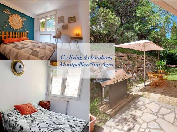 Colocation / Appartement 5 pièces de 86 m², Montpellier, Avenue Professeur Louis Ravas / Photo 2