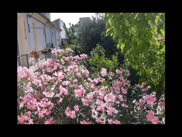 Location / Studio de 24 m², Nîmes, Rue du Cirque Romain / Photo 7