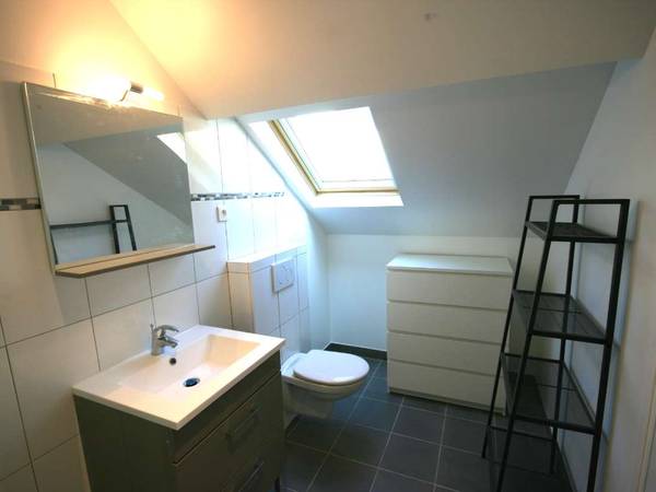 Colocation / Maison 10 pièces de 228 m², Orléans, Rue des Grands Champs / Photo 8