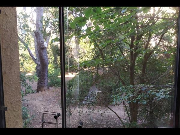 Flatsharing / Studio · 14 m² , Montpellier, Rue des Escarceliers / Photo 11