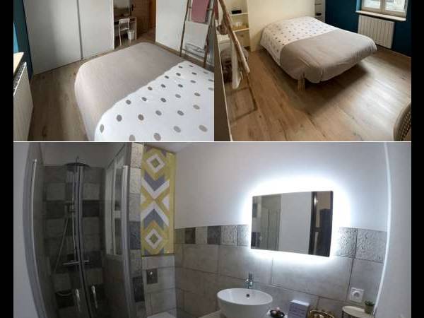 Colocation / Appartement 4 pièces de 70 m², Saint-Étienne, Rue des Armuriers / Photo 3