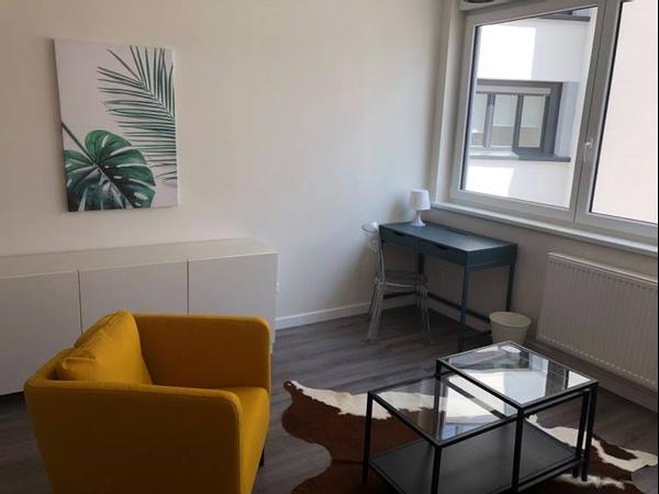 Location / Appartement 1 pièce de 28 m², Strasbourg, Boulevard de la Victoire / Photo 8