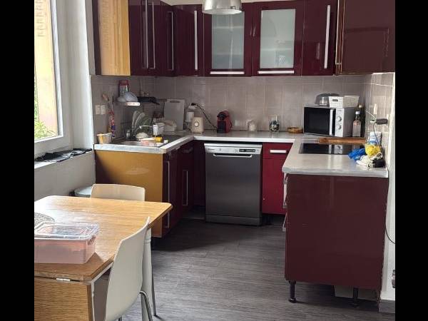 Chambre chez l'habitant / Appartement 3 pièces de 70 m², Villeurbanne / Photo 3