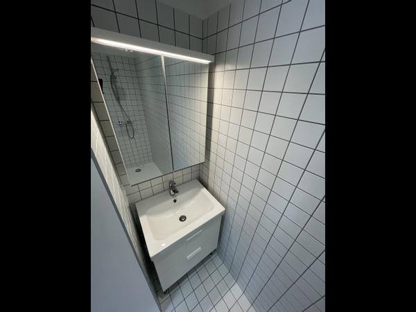 Colocation / Maison 7 pièces de 200 m², Strasbourg / Photo 11