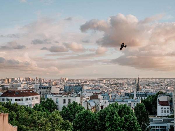 Colocation / Appartement 2 pièces de 45 m², Paris, Rue du Soleil / Photo 6