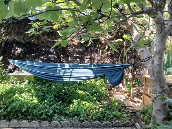 Colocation / Maison 6 pièces de 129 m², Toulouse, Rue des Palmiers / Photo 2