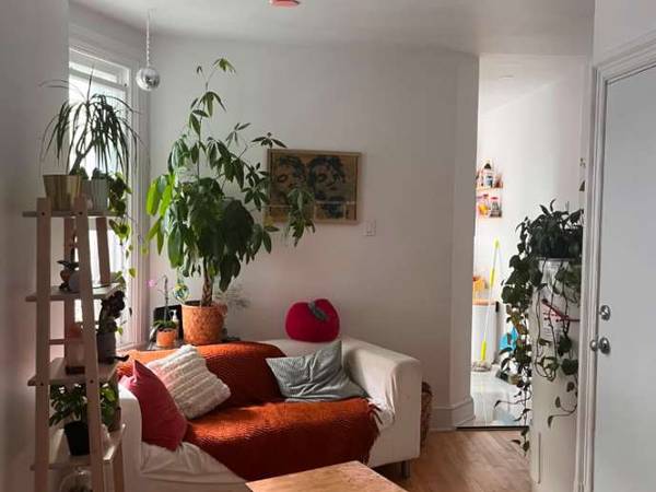 Colocation / Appartement 3 pièces de 45 m², Montréal, Rue Beaudry / Photo 2
