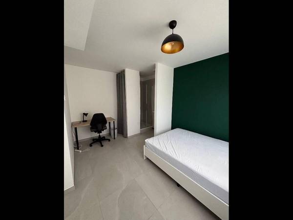 Colocation / Maison 10 pièces de 250 m², Pessac, Rue Roger Vilanova / Photo 20