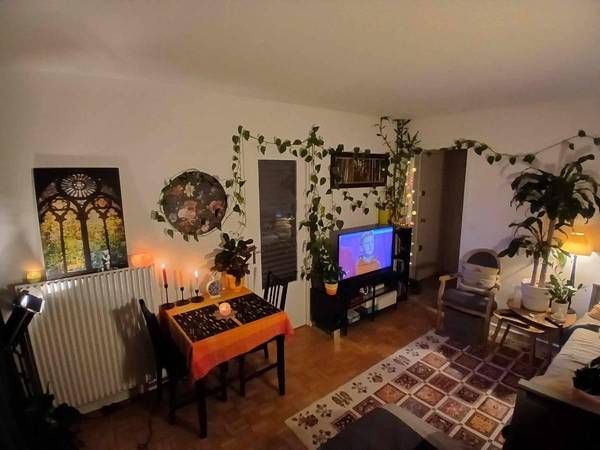 Sous-location / Appartement 1 pièce de 25 m², Charenton-le-Pont, Rue Camille Mouquet / Photo 2