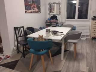 Piso compartido / 6 rooms apartment · 90 m², Vincennes, Rue du Commandant Mowat