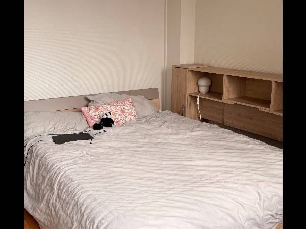 Colocation / Appartement 4 pièces de 20 m², Lyon, Rue Curie / Photo 3