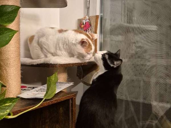 Colocation / Appartement 5 pièces de 88 m², Saint-Denis, Avenue du Président Wilson / Photo 25