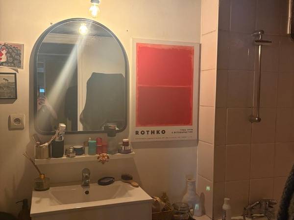 Sous-location / Appartement 4 pièces de 100 m², Lyon, Rue de Flesselles / Photo 7