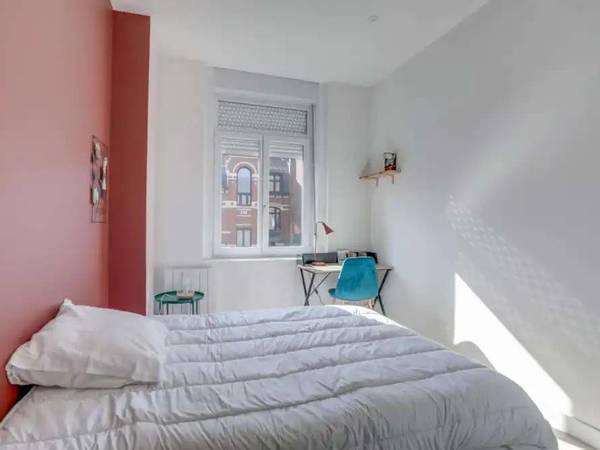 Colocation / Maison 10 pièces de 258 m², Lille, Boulevard Montebello / Photo 2