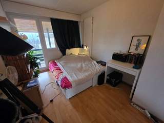 Colocation, Villa 8 pièces, Lutry