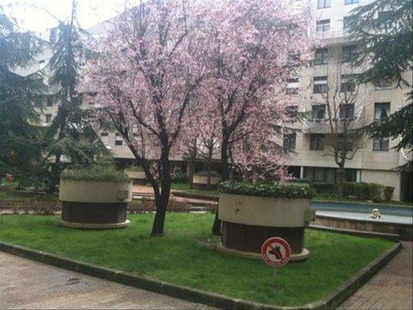 Colocation / Appartement 3 pièces, Boulogne-Billancourt / Photo 2