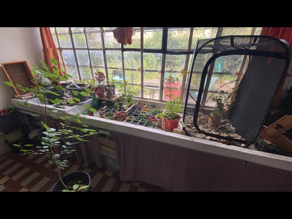 Sous-location / Maison 6 pièces de 80 m², Montpellier, Rue des Orangers / Photo 13