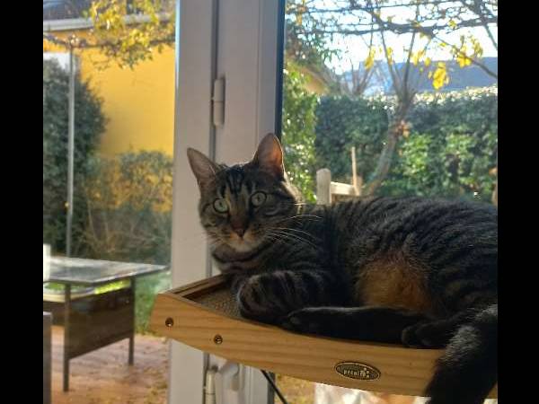 Colocation / Maison 6 pièces de 101 m², Bron, Impasse Chapuis / Photo 9