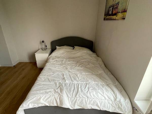 Colocation / Maison 15 pièces de 310 m², Oullins-Pierre-Bénite, Rue / Photo 2