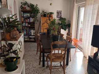 Sous-location / Appartement 6 pièces de 100 m², Montpellier, Rue de Las Sorbes