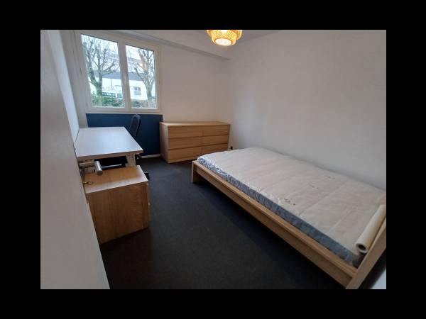 Colocation / Appartement 7 pièces de 125 m², Angers, 87 Rue des Banchais / Photo 2
