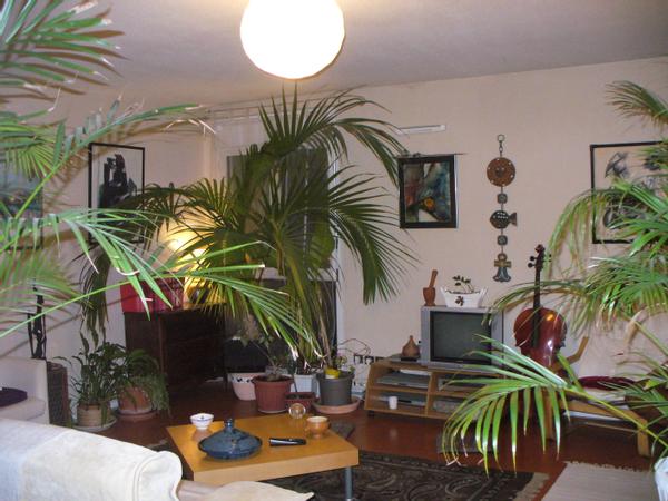 Colocation / Appartement 4 pièces de 120 m², Toulouse, Rue Roland Garros / Photo 2