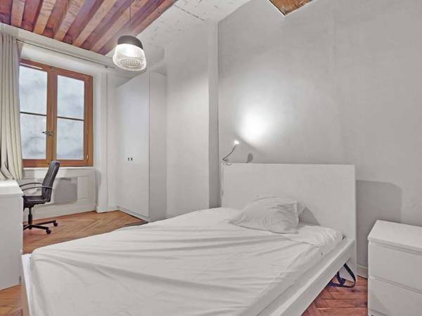 Colocation / Appartement 5 pièces de 100 m², Lyon, Rue Franklin / Photo 6