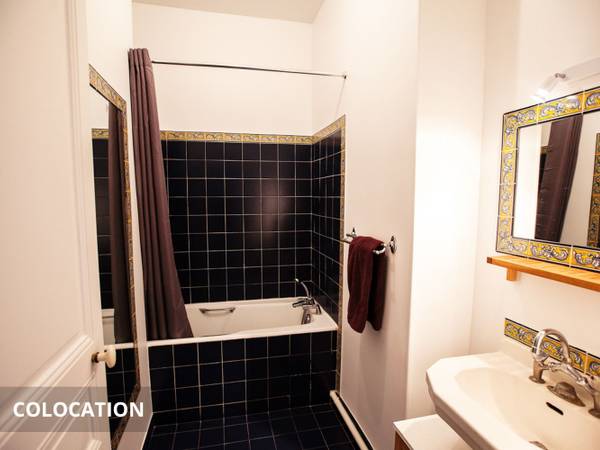Colocation / Appartement 7 pièces de 177 m², Paris, Avenue Théophile Gautier / Photo 7
