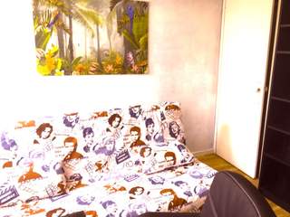 Room share / 1 room apartment · 16 m², Lille, Rue du Bazinghien