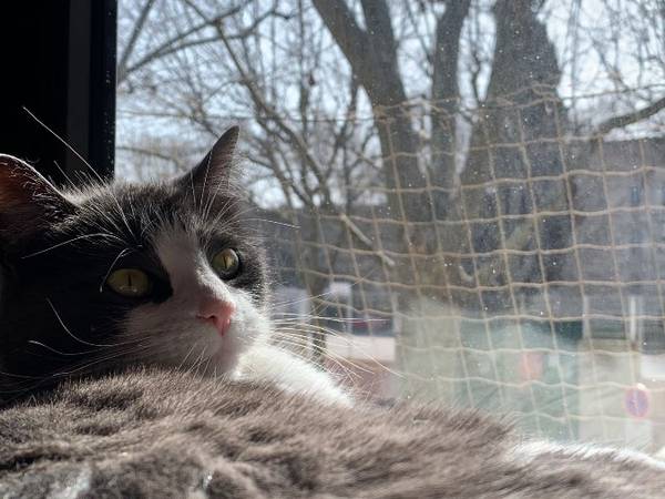 Sous-location / Appartement 2 pièces de 47 m², Montpellier, Quai des Tanneurs / Photo 9