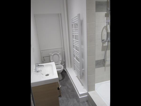 Colocation / Hôtel particulier 5 pièces de 110 m², Strasbourg, Quai Mullenheim / Photo 2