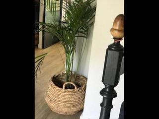 Coliving, Maison 10 pièces, Nantes