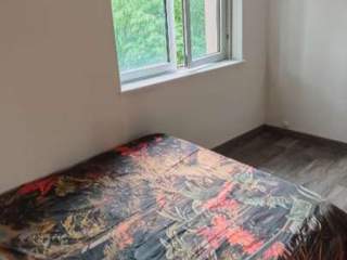 Flatsharing / Appartement 3 pièces de 57 m², Mulhouse, Rue Alphonse Daudet