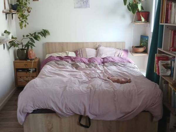 Colocation / Maison 5 pièces de 100 m², Lille, Rue d'Avesnes / Photo 5