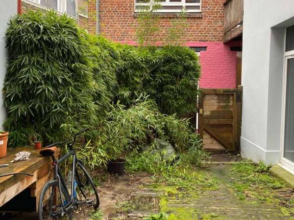 Flatsharing / 4-bedroom flat · 80 m², Lille, Rue Caumartin / Photo 7