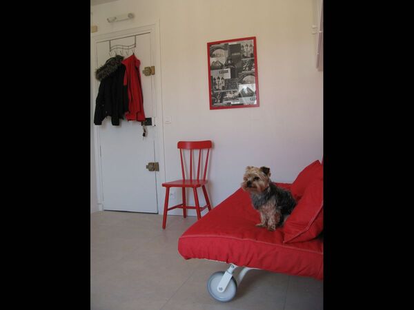 Location / Studio de 12 m², Paris, Rue Rémy Dumoncel / Photo 2