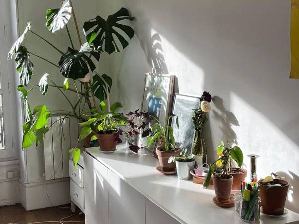 Sous-location / Appartement 4 pièces de 78 m², Paris, Rue Pierre Dupont / Photo 8