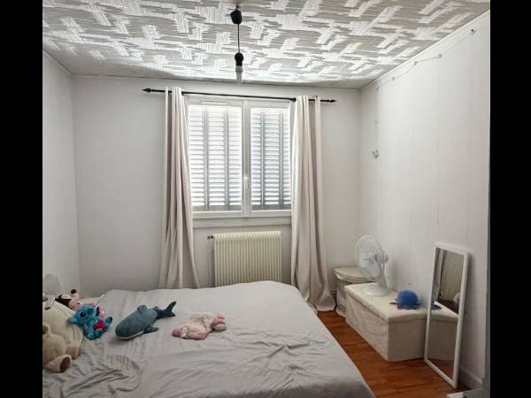 Colocation / Appartement 4 pièces de 64 m², Grenoble, Boulevard Général Gallieni / Photo 3