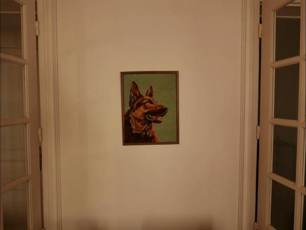 Sous-location / Appartement 5 pièces de 140 m², Paris, Rue Pernelle / Photo 8