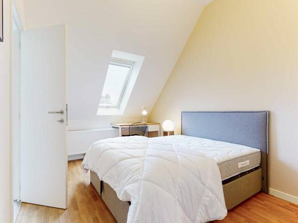 Colocation / Appartement 7 pièces de 100 m², Bruxelles, Rue Stevin 21, / Photo 8