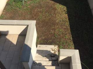 Colocation / Maison 5 pièces de 90 m², Vincennes, Rue de Montreuil