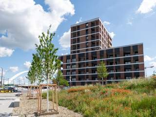 Colocation / Appartement 1 pièce de 10 m², Strasbourg, Rue de Nantes
