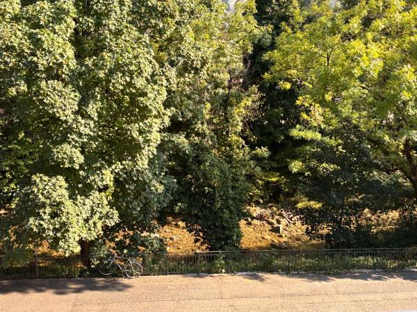 Colocation / Appartement 5 pièces de 96 m², Chambéry, Quai Pierre Bayard / Photo 9