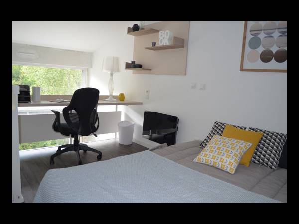 Location / Résidence 1 pièce de 21 m², Toulouse, 68 Chem. du Vallon / Photo 2