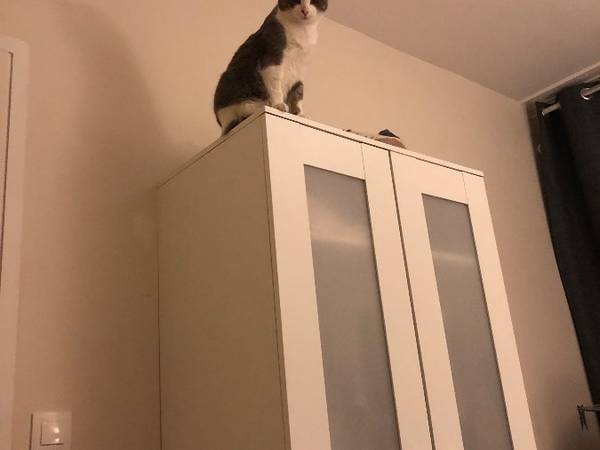 Colocation / Appartement 2 pièces de 40 m², Paris, Rue Servan / Photo 7