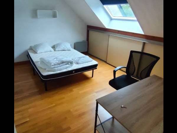 Colocation / Maison 7 pièces de 120 m², Angers, Square Léon Trosseau / Photo 4