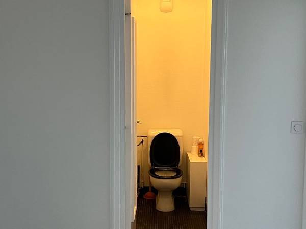 Colocation / Appartement 3 pièces de 81 m², Lyon, Avenue Félix Faure / Photo 8