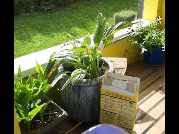 Flatsharing / 4-bedroom flat · 84 m², Nantes, Avenue Ernest Hemingway / Photo 15