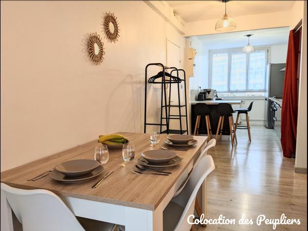 Colocation / Appartement 4 pièces de 75 m², Roanne, Rue de L’Hôpital / Photo 3