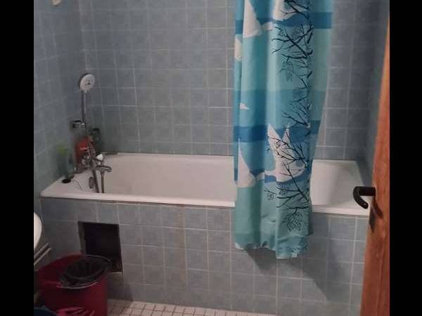 Colocation / Appartement 4 pièces de 85 m², Strasbourg, Avenue Jean Jaurès / Photo 2
